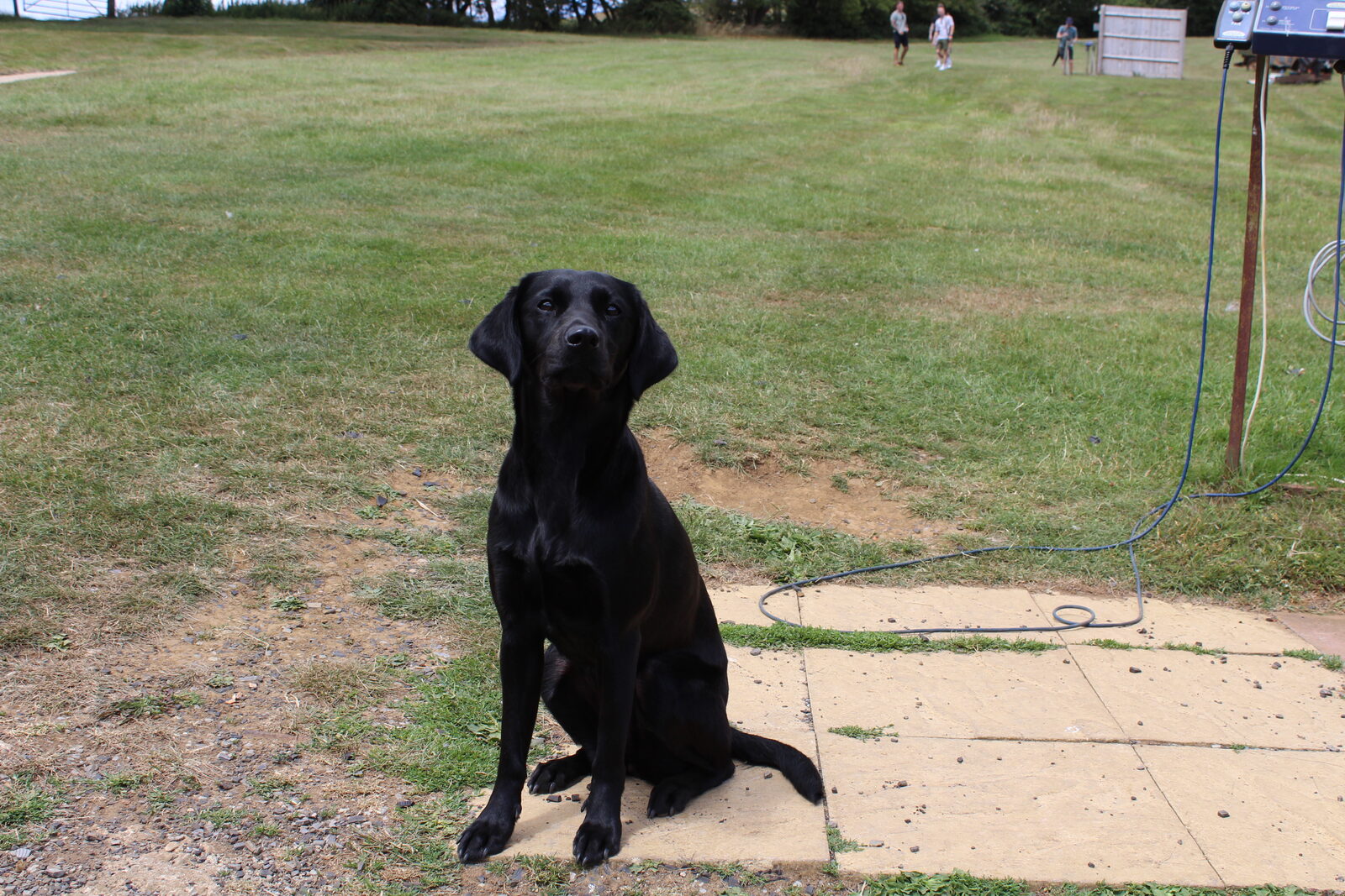 Edgehill Shooting Ground photo